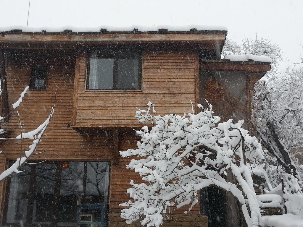 Kostenkovtsi The Four Houses חדר תמונה