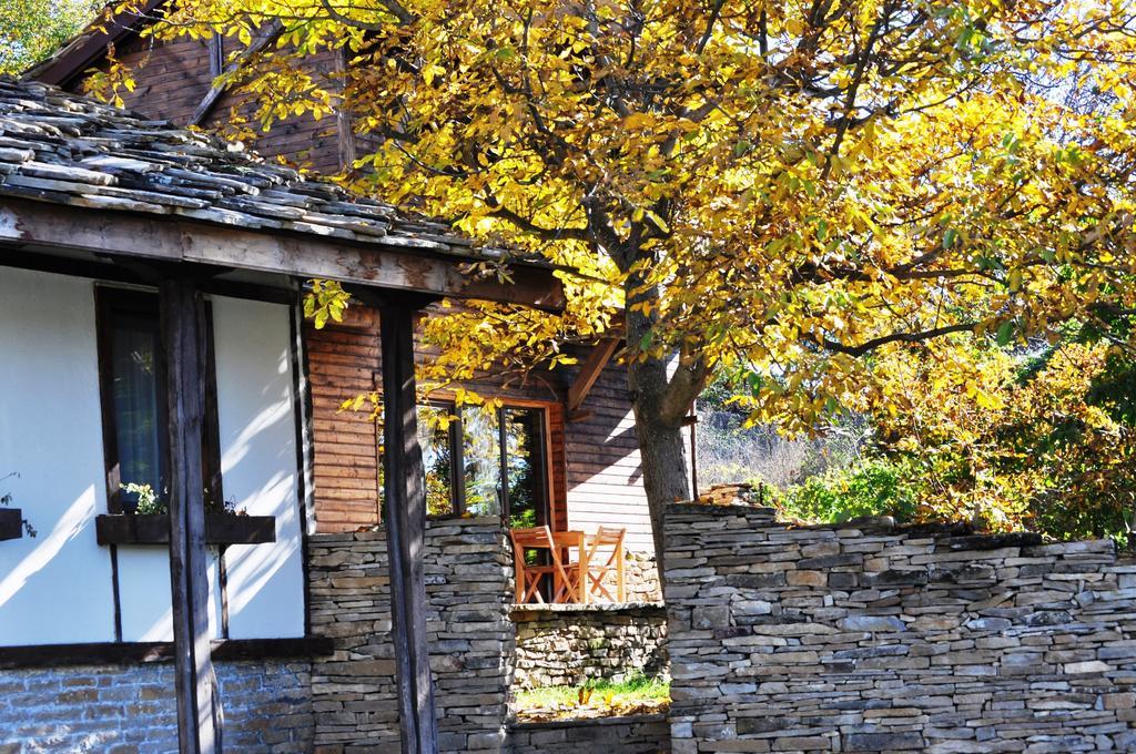 Kostenkovtsi The Four Houses חדר תמונה